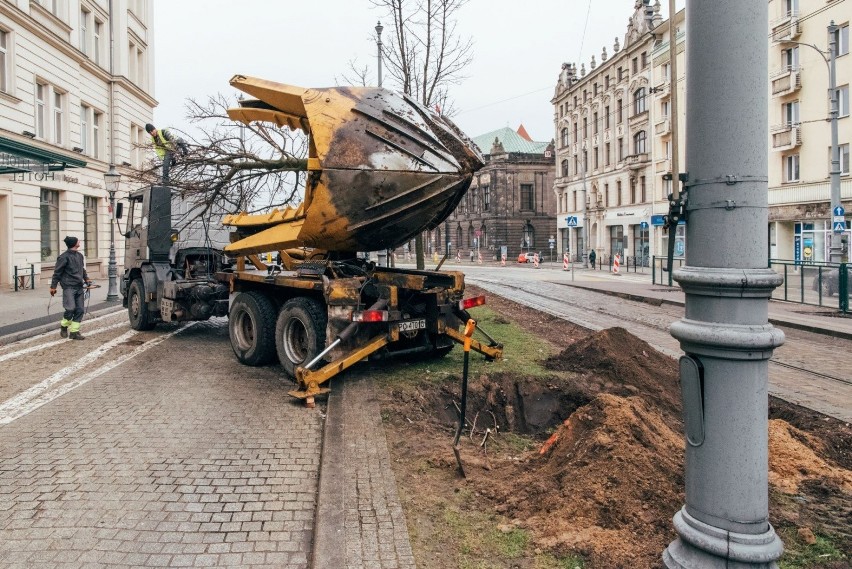 Zgodnie z uzgodnieniami z Zarządem Zieleni Miejskiej...