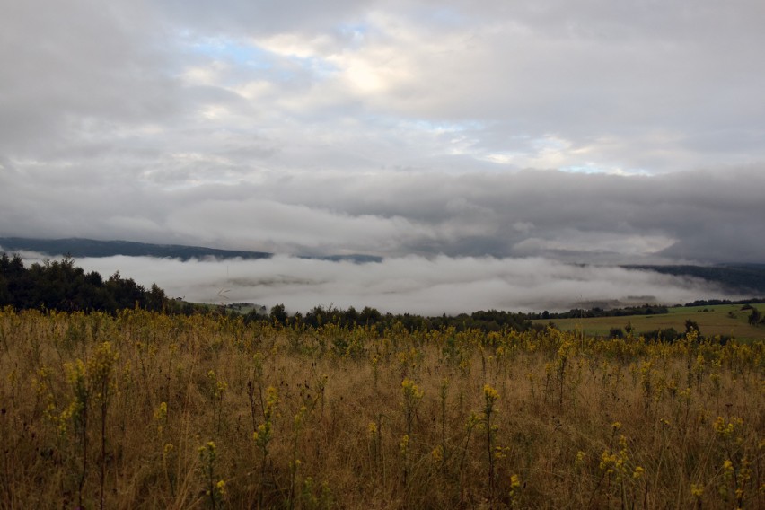 Bieszczady i Beskid Niski są piękne w każdą pogodę. Nawet deszczową. Zobaczcie zdjęcia 