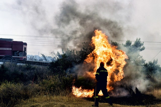 Pożary szaleją w Grecji. Polska wyśle strażaków na pomoc