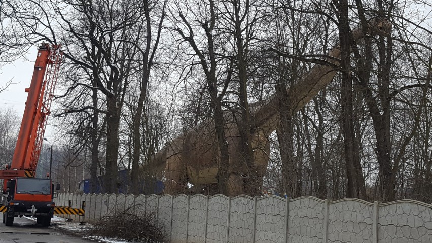 W Zatorlandzie budują gigantycznego dinozaura. Ma mieć 30 metrów wysokości i ruszać się