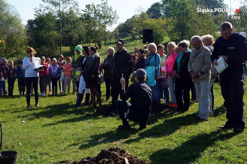 Ponad 100 osób sadziło drzewa w Parku Cegielnia w Żorach