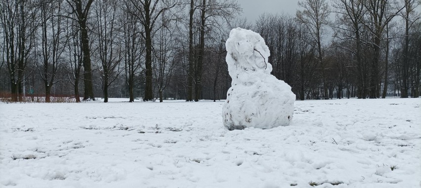 Pod śnieżną pierzynką Park Kościuszki potrafi zachwycić....