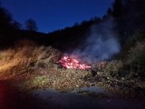 Głupota nie zna granic. Ktoś zostawił rozpalone ognisko w środku lasu na Dolnym Śląsku!