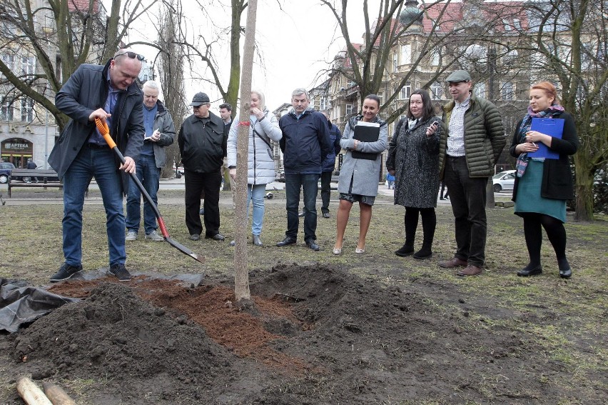 Piotr Krzystek posadził drzewo na placu Grunwaldzkim [ZDJĘCIA]