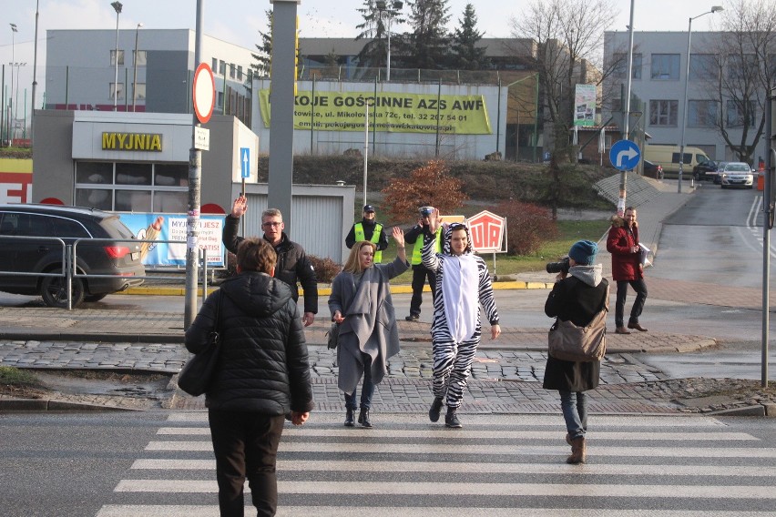 Akcja policji: Zebry przeprowadzały ludzi przez pasy w Katowicach