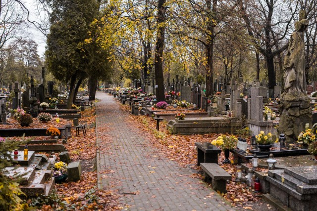 Polacy odwiedzają cmentarze, aby ozdobić groby swoich bliskich kwiatami i zapalić znicze.