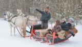 Agroturystyka. Rozpoczął się sezon na kuligi.