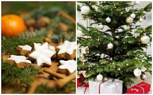 Co zrobić ze świątecznym drzewkiem, kiedy Boże Narodzenie minie, podpowiadają Lasy Państwowe.