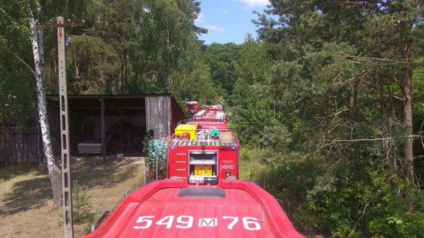 Pożar lasu w Małkini Dolnej. Zagrożone były budynki mieszkalne i gospodarcze. 1.07.2022