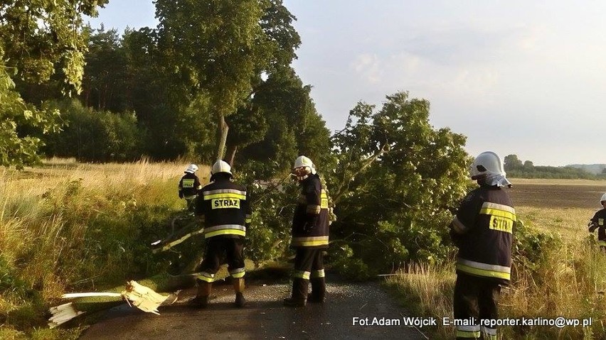 Strażacy z OSP Karlino zostali wezwani do  powalonych drzew...