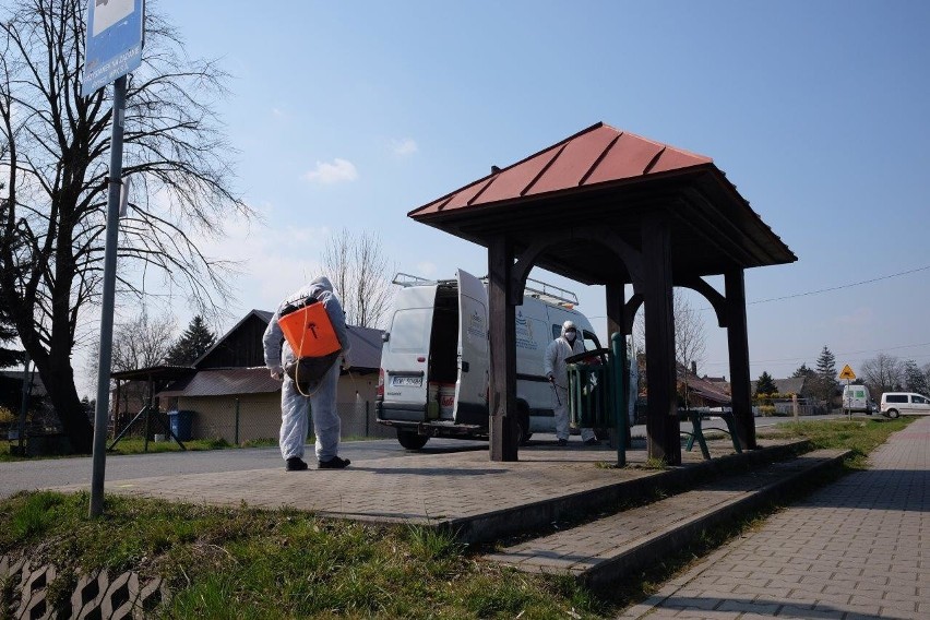 Koronawirus. Niepołomice dezynfekują przystanki w całej gminie. W Wieliczce akcja jest jeszcze szersza [ZDJĘCIA]