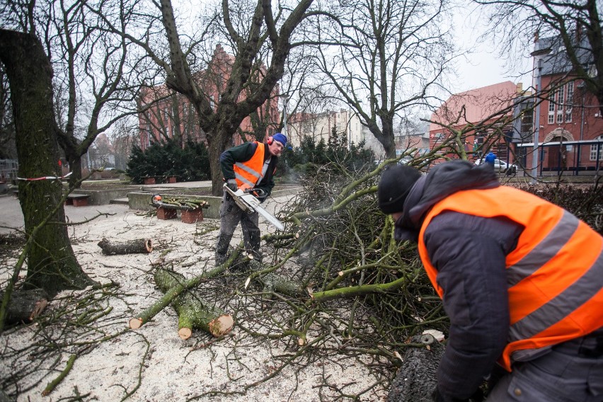 24.01.2017 bydgoszcz  miasto plac koscieleckich wycinka...