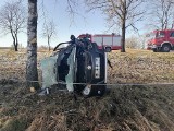 Straszny wypadek na DK11 koło Bobolic. Kierowca wyszedł bez szwanku [ZDJĘCIA]