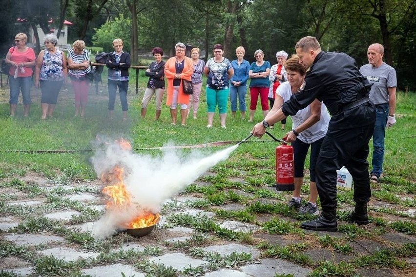 Ciekawe wycieczki i równie interesujące zajęcia w klubie to...