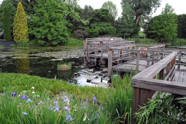 Arboretum w Bolestraszycach spełnia ważną rolę edukacją i naukową. Czy jego byt będzie zagrożony?