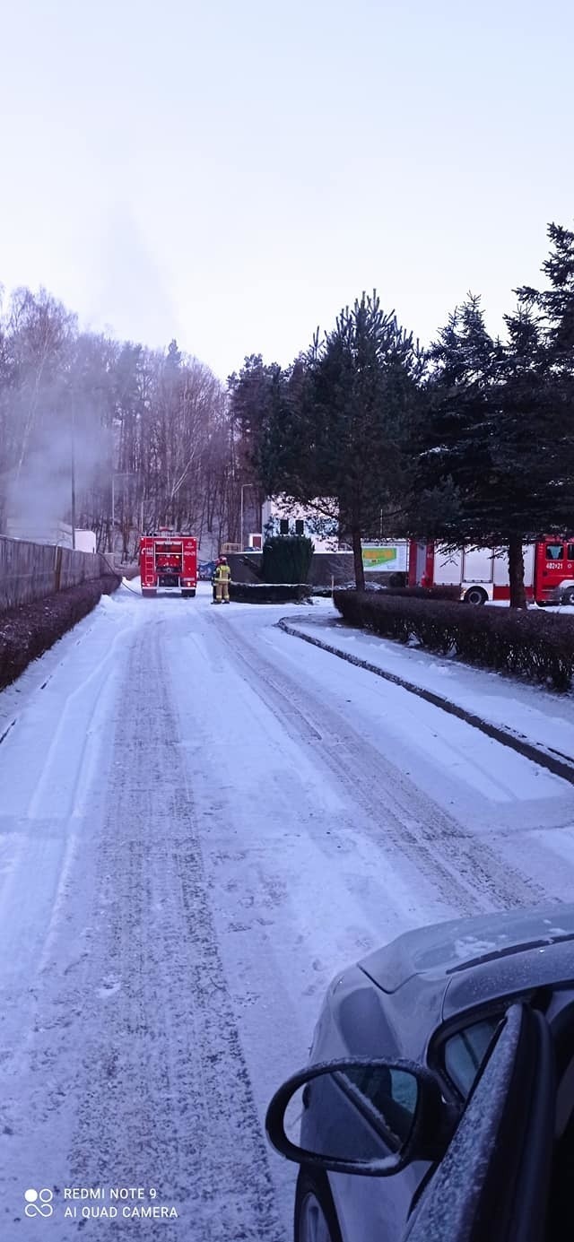 Pożar schroniska "Bezdomny kundelek" pod Miastkiem. Uratowano zwierzęta, ale spłonął magazyn z zapasami i narzędziami. Potrzebna pomoc