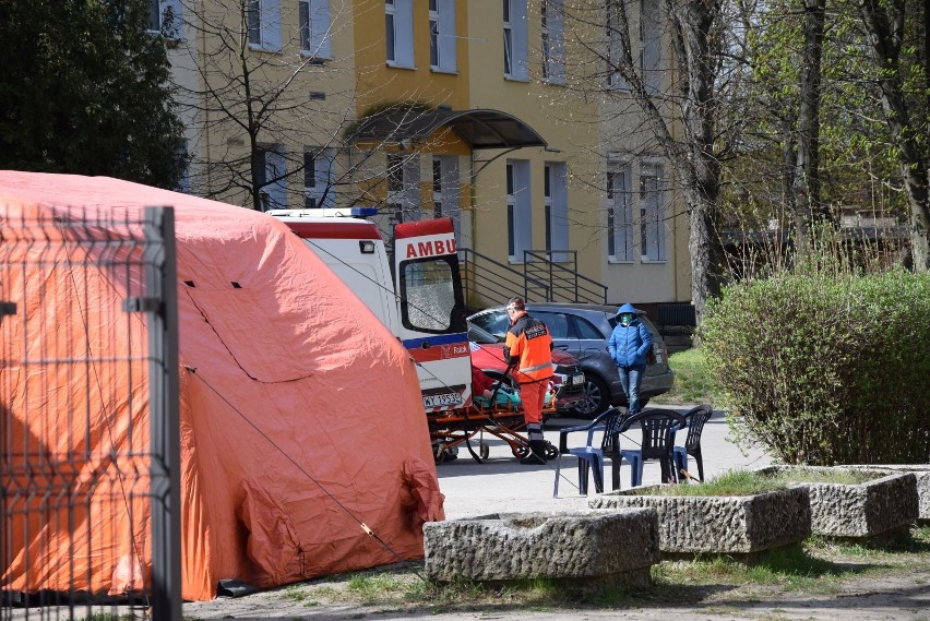 W sobotę, 18 kwietnia, w Lubuskiem, nie odnotowano nowych...