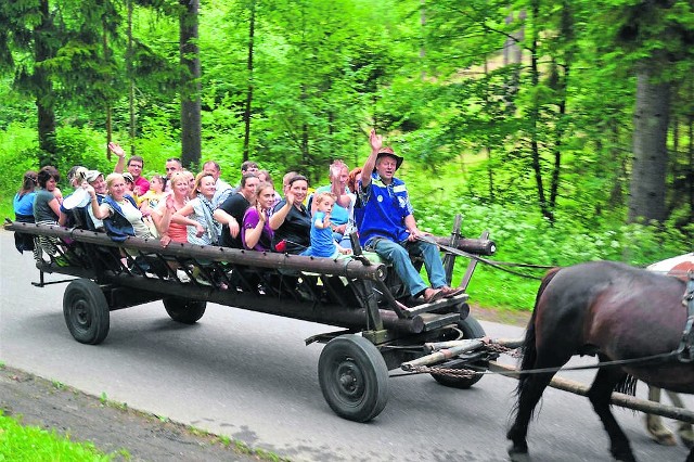 Kaszubscy kuczerzy od wiosny wożą gości wozami drabiniastymi, a zimą zapraszają na kuligi