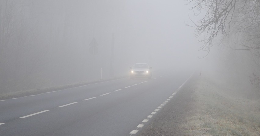 Uwaga na mgły w woj. śląskim. Pogoda na 23 lutego 2021....