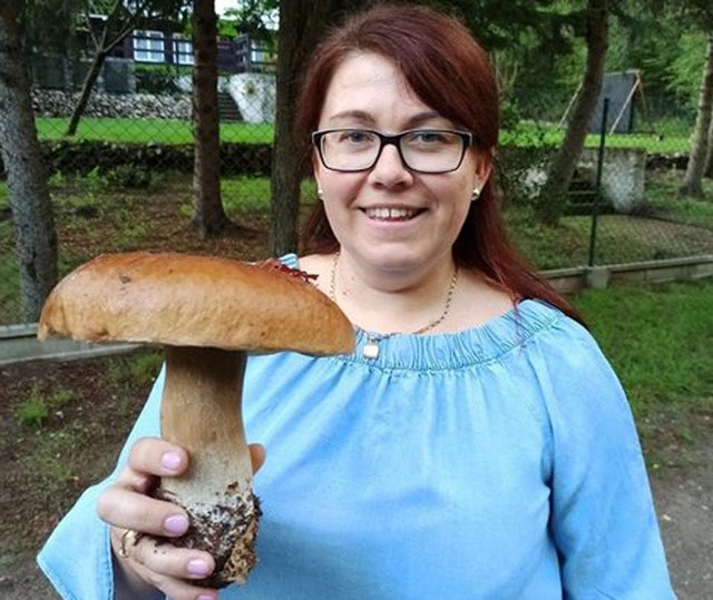 Taaaki grzyb znaleziony w lesie w powiecie świdwińskim