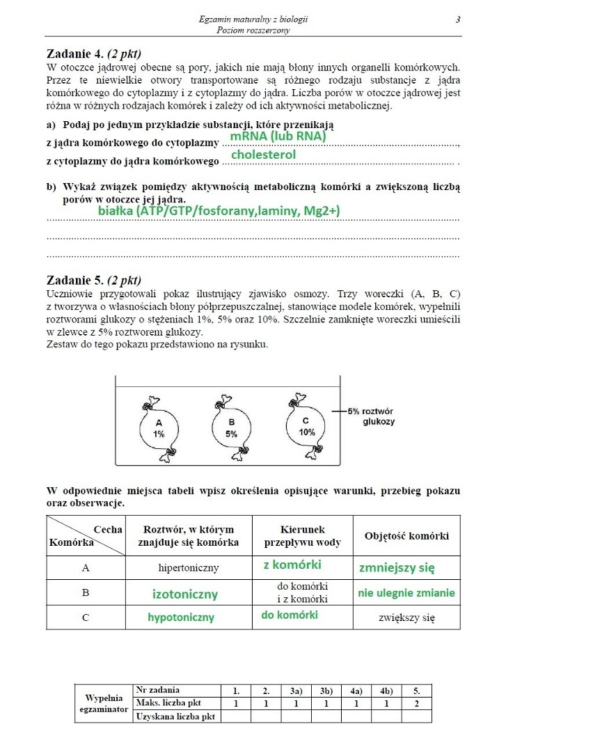 MATURA 2013 z CKE. BIOLOGIA - poziom rozszerzony [ARKUSZE, PYTANIA, ODPOWIEDZI]