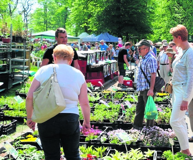 Kiermasz ogrodniczy "Pamiętajcie o ogrodach" 2018