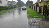 Uwaga na powalone konary! Deszcz nie wyrządził szkód w okolicach Włocławka, ale wiatr