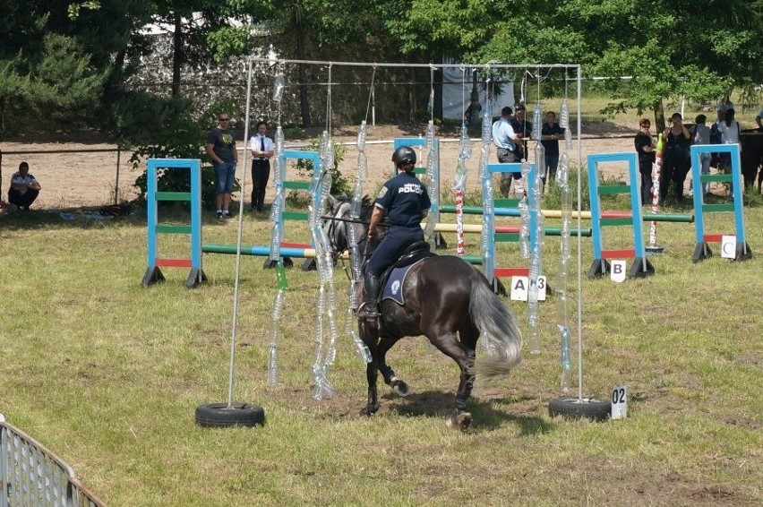Turniej policji konnej w Częstochowie wyniki