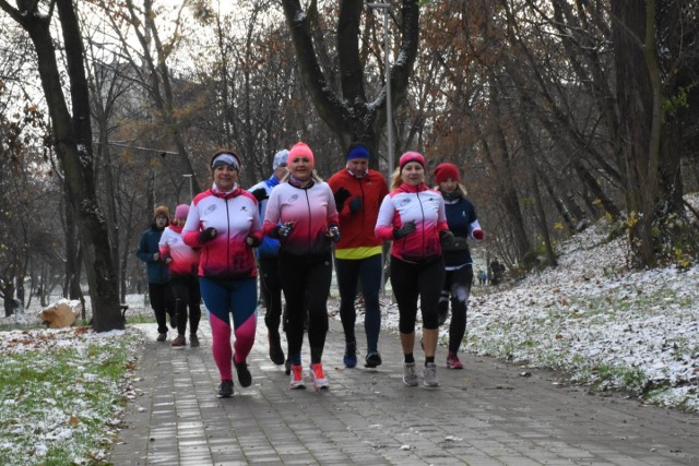 Ostatnie tegoroczne spotkanie w ramach akcji "Zabiegany Powiat" odbyło się w Parku Grabek w CzeladziZobacz kolejne zdjęcia/plansze. Przesuwaj zdjęcia w prawo naciśnij strzałkę lub przycisk NASTĘPNE