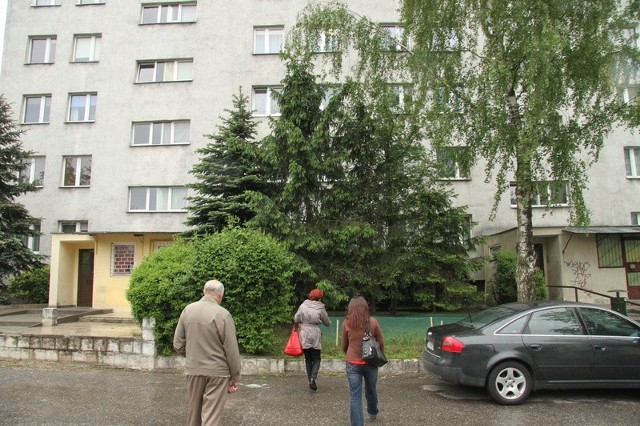 Dwa z tych drzew mają być wycięte zgodnie z decyzją wydziału środowiska i usług komunalnych Urzędu Miasta w Kielcach. Nie zgadzają się na to mieszkańcy bloku przy ulicy Jana Nowaka-Jeziorańskiego.