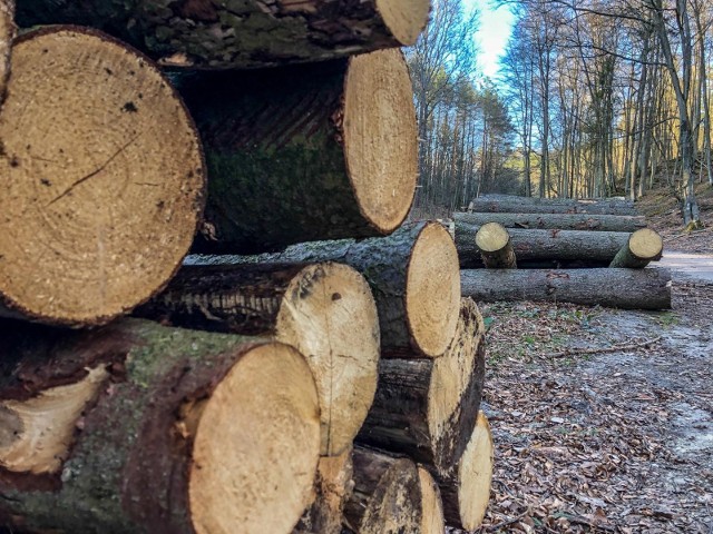 Ceny i braki na rynku węgla powodują, że wiele osób zaopatruje się obecnie w drewno, którego także zaczyna brakować.