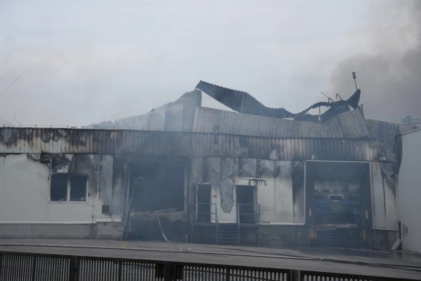 Pożar w Skórczu. Ratownicy wciąż pracują na miejscu pożaru w Iglotexie. Trwa proces spalania amoniaku