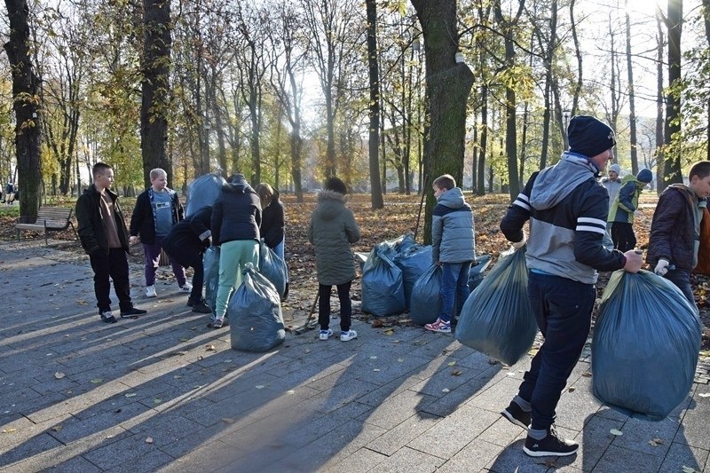 Uczniowie sandomierskiej "Dwójki" chronią kasztanowce. Piękna akcja w Miejskim Parku w Sandomierzu