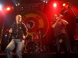 Afryka Reggae Festiwal. Gorące brzmienia w środku zimy