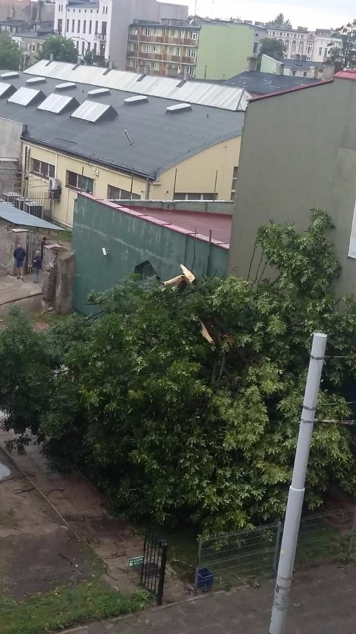 Burza w Łodzi. Nawałnica nad Łodzią. Powalone drzewa, gałęzie na drogach, zalane ulice [ZDJĘCIA]