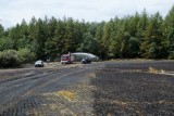 Pożar w gminie Dębnica Kaszubska. Paliły się pola i las [zdjęcia]