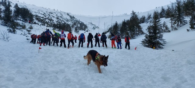 Akcja poszukiwawcza w Karkonoszach 14.03.2021