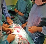 Lekarze z GCZD uratowali życie 9-letniej Mai. Wszczepili jej protezę aorty. Operacja trwała prawie 9 godzin