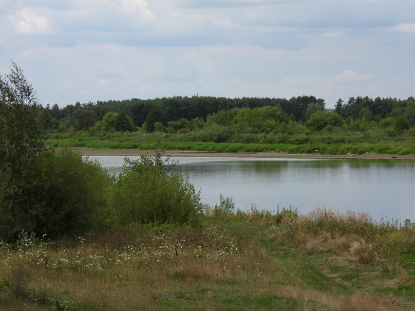 Susza hydrologiczna 2022. Stan wody w rzekach naszego regionu, 11.08.2022