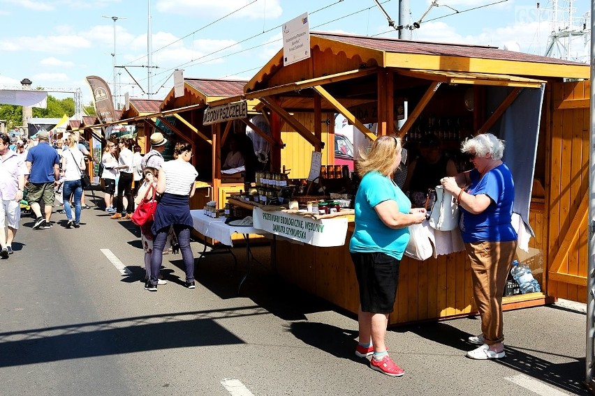 Piknik nad Odrą w Szczecinie