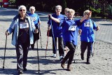 Marsz Nordic Walking w Sulęcinie [ZDJĘCIA]