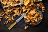 Oto 5 powodów, dla których warto jeść grzyby! Kurki na pasożyty i jako wsparcie układu pokarmowego. Podajemy przepis na jajecznicę z kurkami