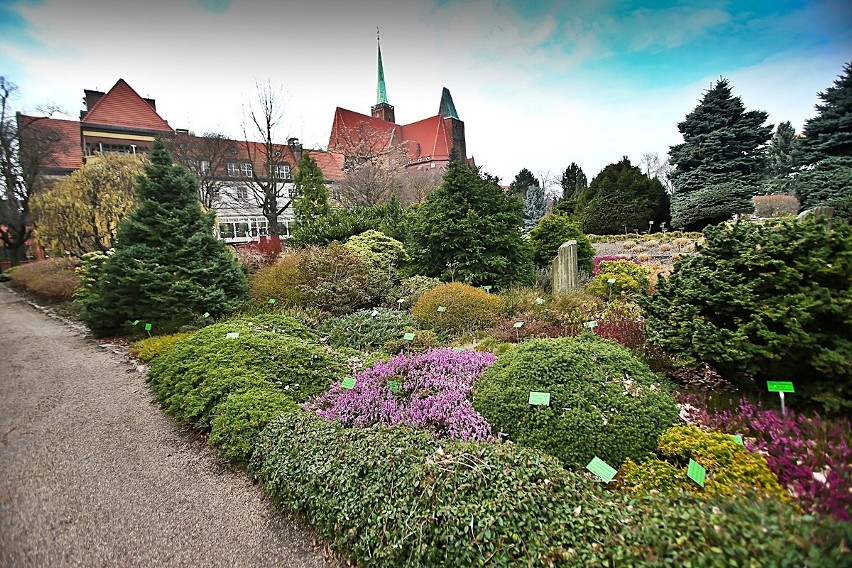 Pracownicy Ogrodu Botanicznego we Wrocławiu przed...