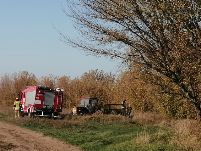 Ratownicy z Państwowej Straży Pożarnej w Łowiczu w asyście policji schwytali agresywnego byka
