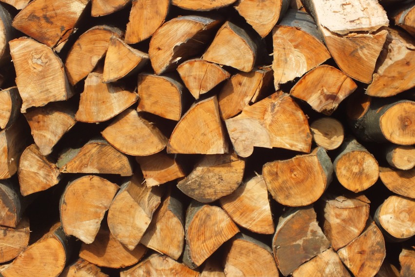 Drewno z Podkarpacia jest sprzedawane do Chin? Leśnicy dementują i podają liczby