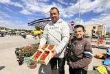 Pierwsze polskie truskawki kupisz już na giełdzie w Sandomierzu [ZDJĘCIA]