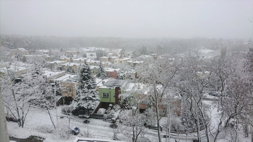 Tak obecnie wygląda sytuacja w Zielonej Górze, gdzie śnieg...