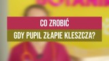 Co zrobić gdy pupil złapie kleszcza? (WIDEO)        