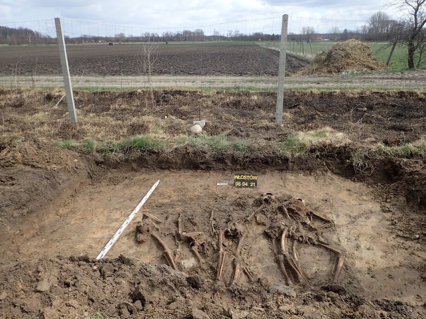 Niesamowitego znaleziska dokonało Stowarzyszenie Pomost z...