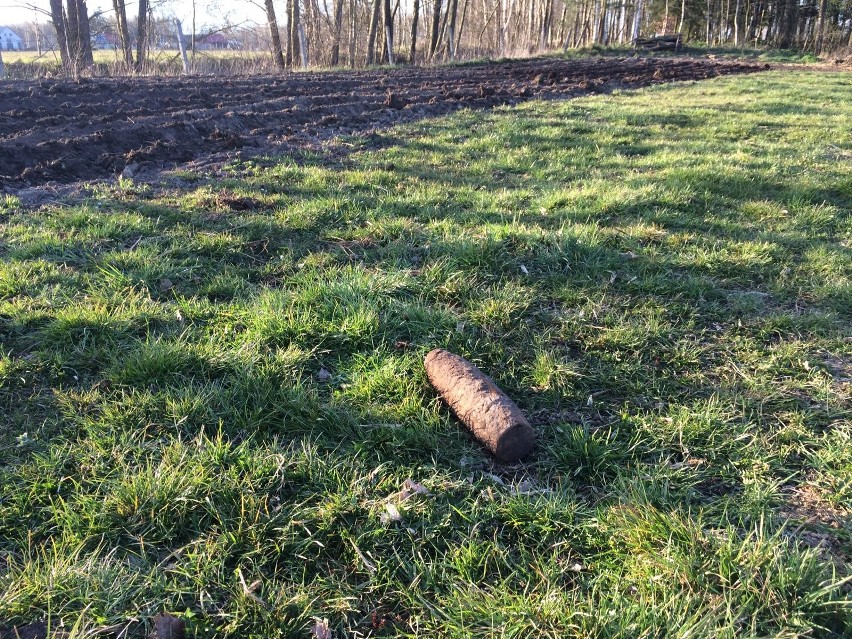 Wolkowe, gm. Myszyniec. Podczas prac polowych znaleziono niewybuch pocisku artyleryjskiego. 20.04.2020. Zdjęcia